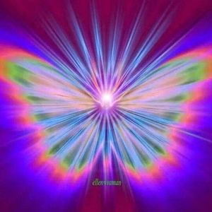 Meet your Posher, Geraldine